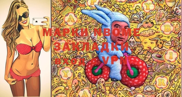тгк Гусев