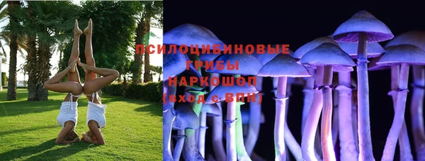 крисы Гусиноозёрск