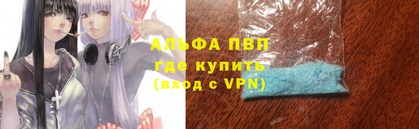 дмт Дмитров