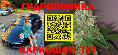 прущая мука Кингисепп