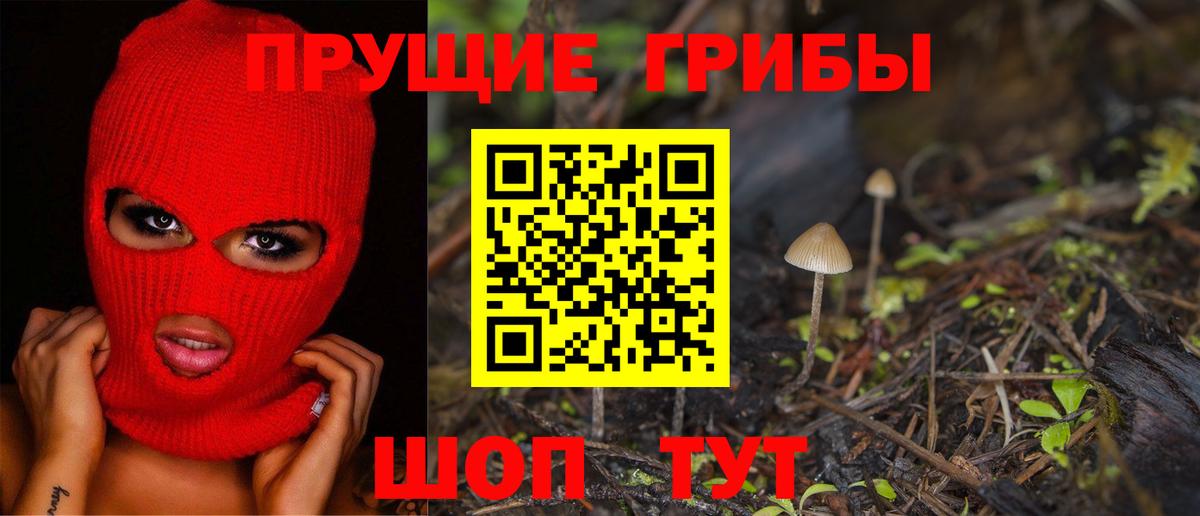 Псилоцибиновые грибы MAGIC MUSHROOMS  Вход с VPN  Сарапул 